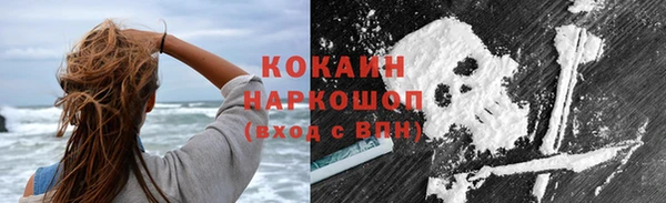 спиды Инта