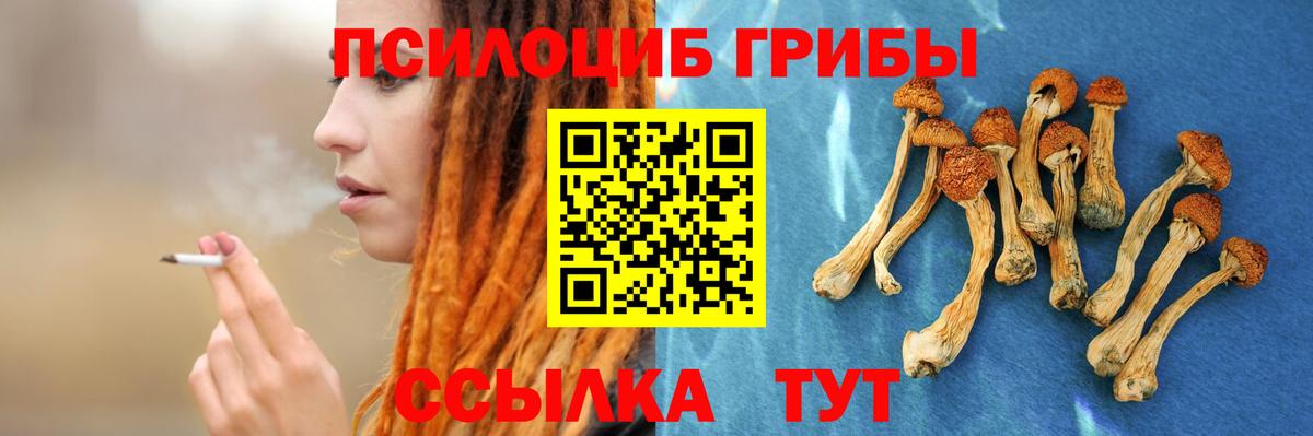 Кимовск  Псилоцибиновые грибы GOLDEN TEACHER  Вход с VPN  Галлюциногенные грибы Cubensis 